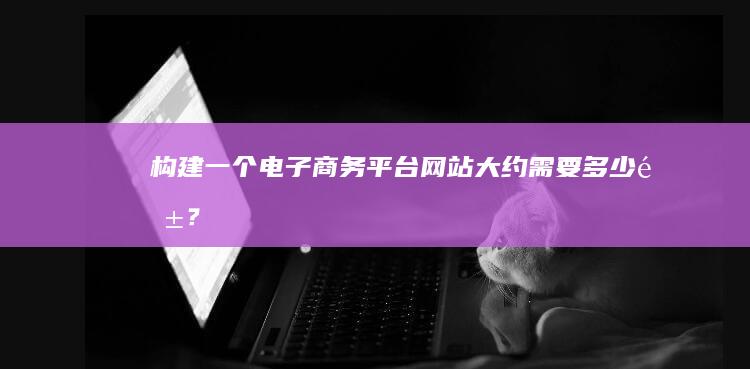 构建一个电子商务平台网站大约需要多少钱？